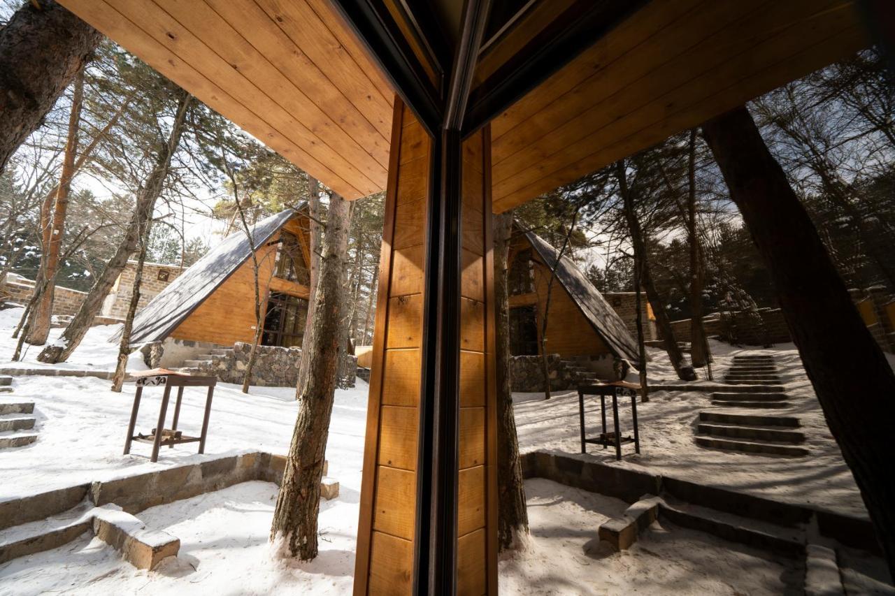 Woodland Cottages Cahkadzor Kültér fotó