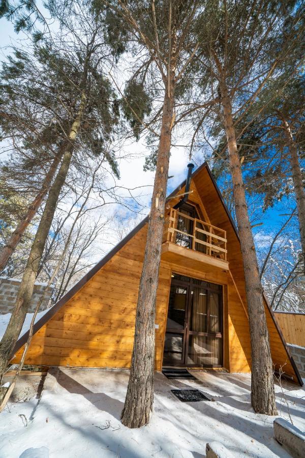 Woodland Cottages Cahkadzor Kültér fotó